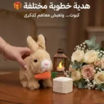 🐰 الأرنب "كوتي بوتي" الرفيق المثالي لطفلك.. بطل الحركة والمرح!